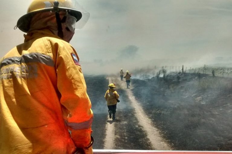 Incendio forestal y de monte en zona rural