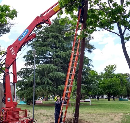 Extracción de una columna del tendido telefónico
