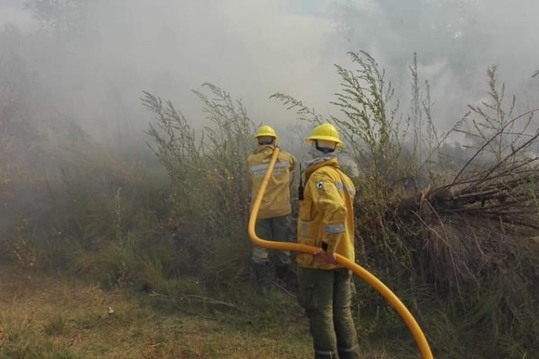 Incendio forestal en Marilauquen