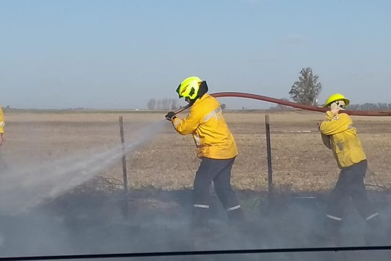Intenso trabajo de nuestro personal