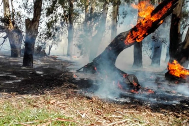 Incendio rural en propiedad de Robles